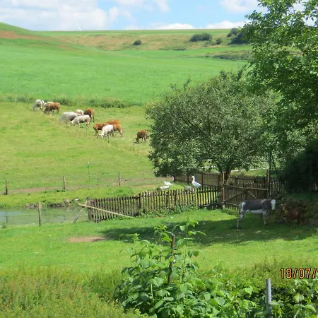 Apartamento Grafenfelder Hof Gerolstein