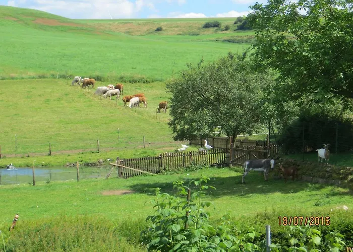 Apartamento Grafenfelder Hof Gerolstein